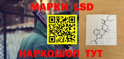 стаф Новодвинск