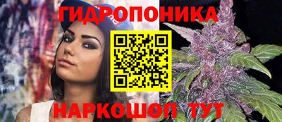 стаф Новодвинск
