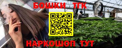 стаф Новодвинск