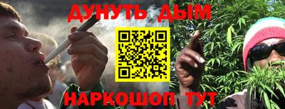 дживик Новозыбков