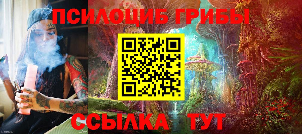 Тавда  Галлюциногенные грибы GOLDEN TEACHER  Вход с VPN  Галлюциногенные грибы MAGIC MUSHROOMS 